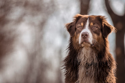 Paola Stella photographer