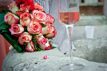 WePiedmont - Wedding & Events Planner