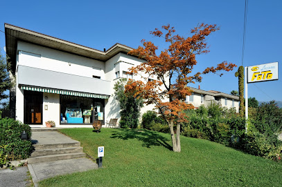 Fotocolor Lovison di Lovison Nereo