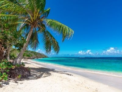 Agenzia Arara Viaggi Reggio Emilia