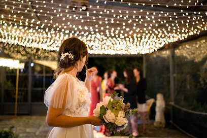 Sara Vicale Wedding & Event Planner