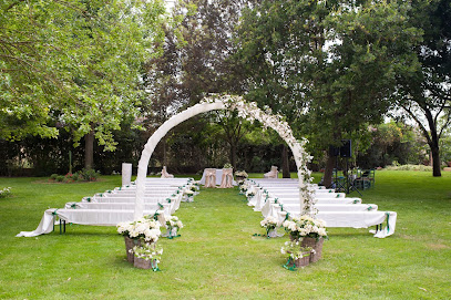 Wedding Planner Omero