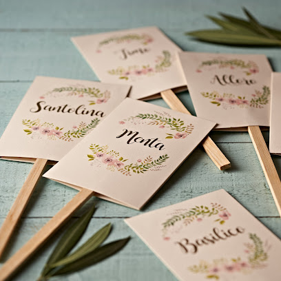 Chantilly - Travagliato