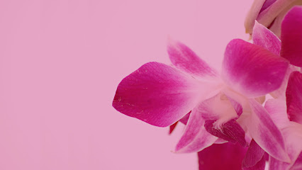 Votre Beaute Di Ermenegilda Gasparin