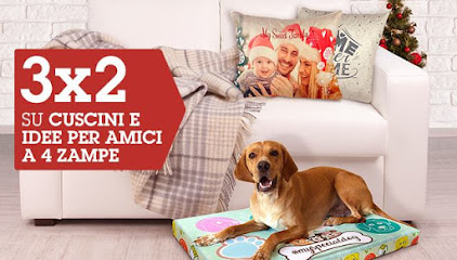 FotoStudio Migliorini