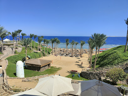 GiraMondo Viaggi Rovigo