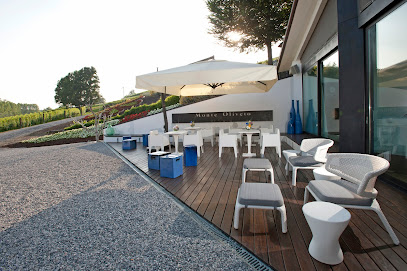 MonteOliveto di Casa' - Monticello d'Alba