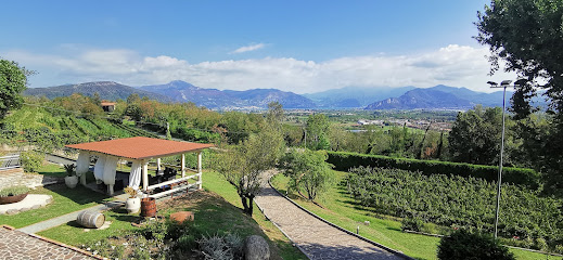 Tenuta Colle Paradiso