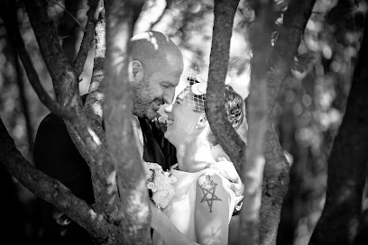 Daniel Photo/Graphic